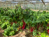 Seed Coop AGM 2022