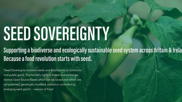 Seed Sovereignty Programme