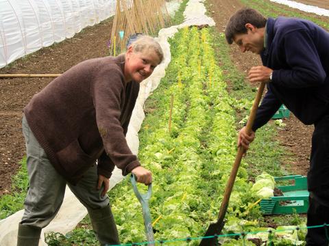 Kate Seed Co-Operative