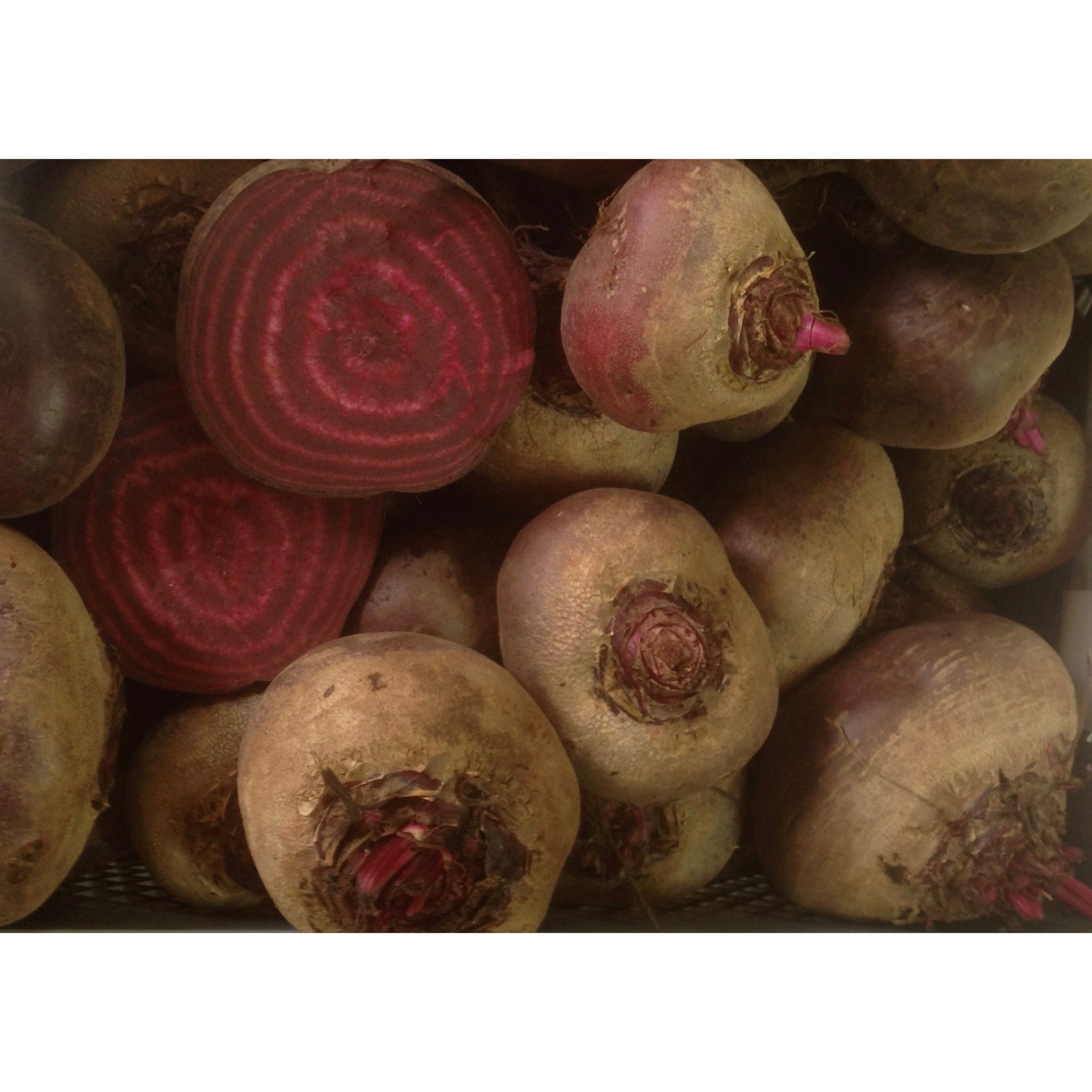 BEETROOT; Egyptian Turnip Rooted
