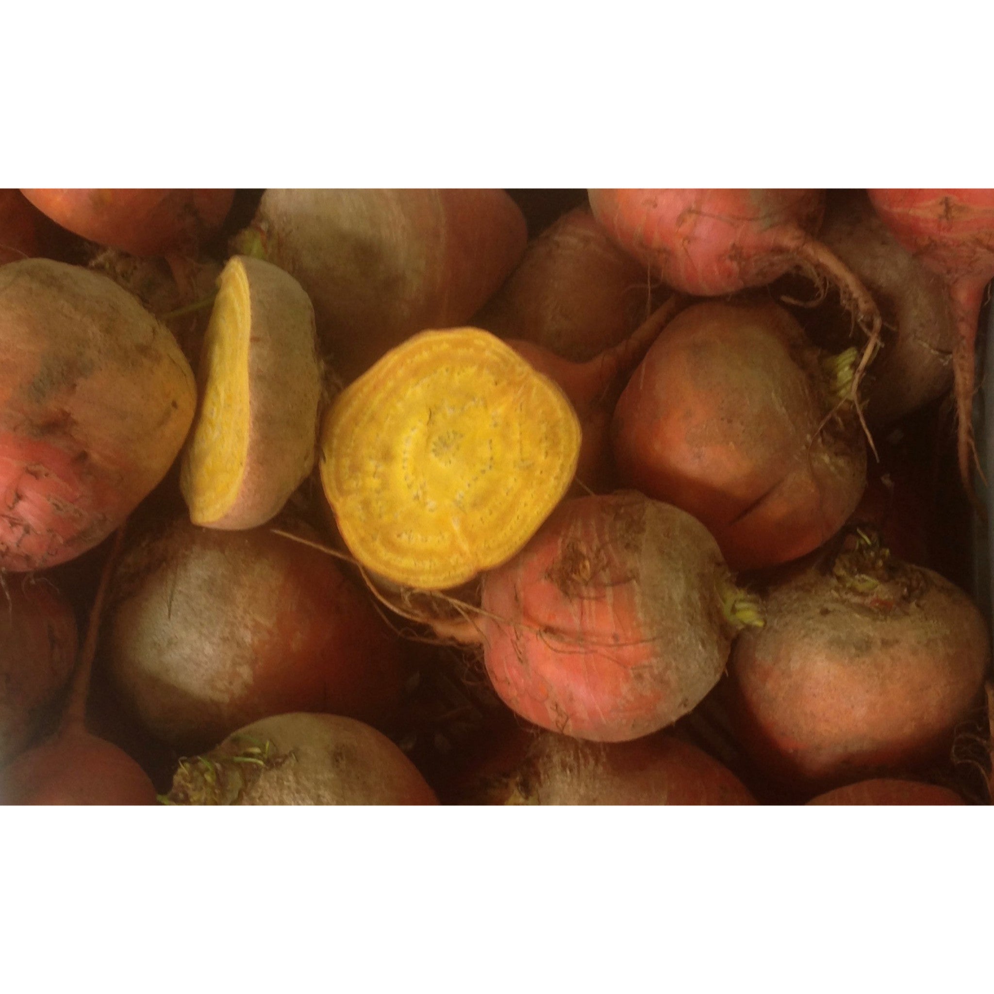 BEETROOT; Burpees Golden BEETROOT; Burpees Golden