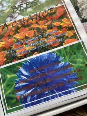 Image Title Give Bees a Chance Flowers Gift Set